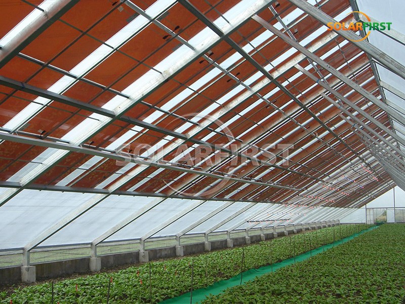 425 m² große Solar-BIPV-Gewächshauslösung in Großbritannien