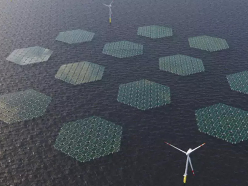 Wie schwimmende Photovoltaikanlagen weltweit für Furore sorgen