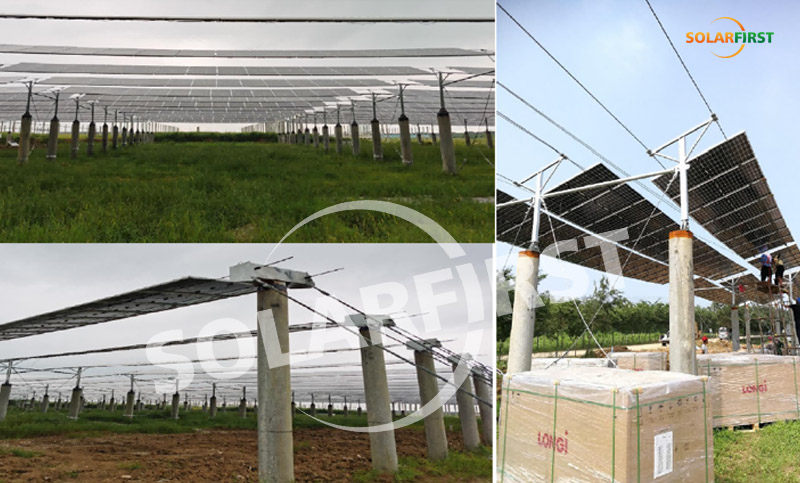 jiangsu hongsi 1 mwp flexibles Aufhängungskabel zur Unterstützung des landwirtschaftlichen und solaren Ergänzungsprojekts
